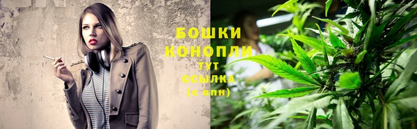 PSILOCYBIN Семикаракорск